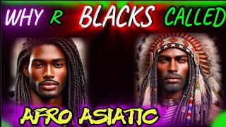 Top Historian Reveals the SHOCKING TRUTH About AFRO ASIATIC Identity!