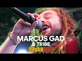 Marcus Gad & Tribe Live at Rastaplas Festival Zoetermeer 2024