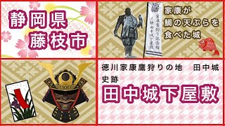 【静岡県藤枝市】家康が鯛の天ぷらを食べた「田中城下屋敷」に行ってきました。「田中城址」家康と鷹狩り