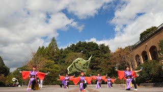 大東Yosakoi恋・来い連「菅原組」 みちのくYOSAKOIまつり2018