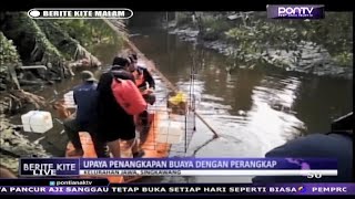 Upaya Penangkapan Buaya Dengan Perangkap