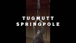 TugMutt Springpole