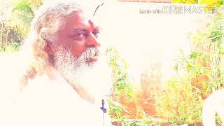 ప్రవచనం |Sri Sankarananda swamy pravachanam #1 |bramhamgari asramam  |