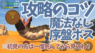 【ファイナルソード】クセの強い序盤ボスの攻略方法をかなり真剣に考えたファイソn周目ガチ勢によるちょっとした解説【マンティコア/ヒドラ/ヘルウォーム※魔法禁止/ME版/iOS新verTM版】