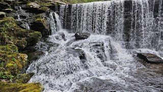 Buffam Falls Conservation and Mount Orient, Pelham MA | May 2024