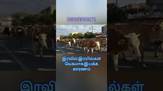 இரவில் ரயில்கள் வேகமாக இயக்க காரணம்?|facts about Indian railways|#tamil #trending #facts ##shorts