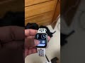 How to access Apple Watch control center after watchOS10.0?