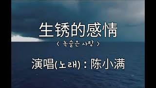 生锈的感情  녹슬은 사랑   陈小满중국노래번역   가사   단어