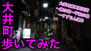 Night Walking at Ooimachi, TOKYO.[Jan. 2020] 大井町（東口商店街→平和小路→東小路→すずらん通り）歩いてみた