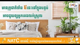 CNGTV | នាទីសុខភាព Ep.30  # មានរុក្ខជាតិទាំង ៥នេះនៅក្នុងបន្ទប់អាចជួយឲ្យអ្នកគេងលក់ស្រួល