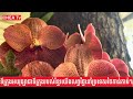 មើលសង្វេគចិត្តទីក្រុងចាស់របស់ខ្មែរ