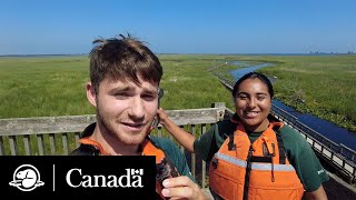 Why work at Point Pelee National Park this summer  | Parks Canada