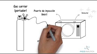 ¿Cómo funciona un Cromatógrafo Gaseoso?