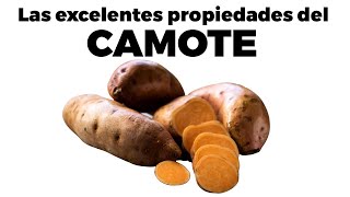 7 beneficios DEL CAMOTE,  y sus propiedades, cómo agregarlo a tu dieta