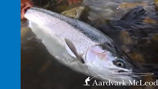 Fly Fishing Estancia Laguna Verde On Jurassic Lake