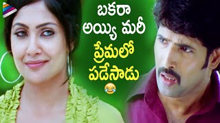 Kamalinee Mukherjee Falls For Venu | Ramachari Telugu Movie Scenes | Brahmanandam | Ali | Raghu Babu