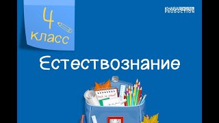 Естествознание. 4 класс. Как уменьшить мощность звука. Что такое теплопроводность /25.01.2021/