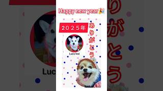 2025 congratulations🎍謹賀新年🎉