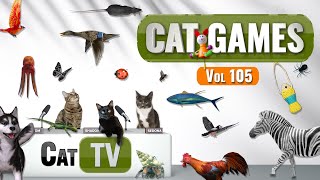 CAT Games | Ultimate Cat TV Compilation Vol 105 | 6 HOURS  🐝🐞🦋🦎🦜🐜🐭🧵