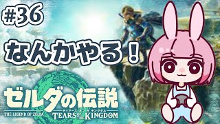 【 ゼルダの伝説 TotK 】憧れのマイホームを建てるぞ～！イチカラ村で！な、うさ耳とリンクの冒険｜ ティアーズオブザキングダム 初見プレイ 【 #ろるこのおうち 】