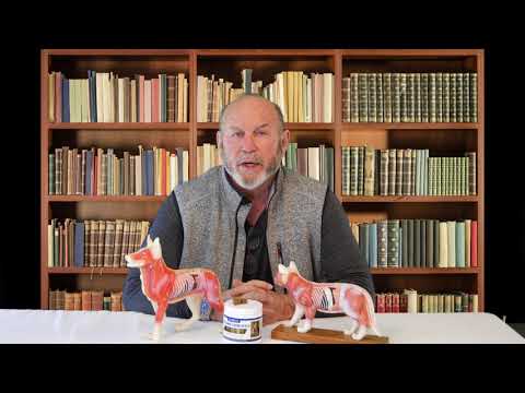 VOM Module 7 Intro VOM Module 7 Intro