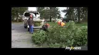 JoytvNews - Tree Chipping 2014