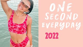 One second everyday 2022!