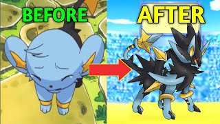 Luxray Evolution - Destiny [Edit / AMV]!