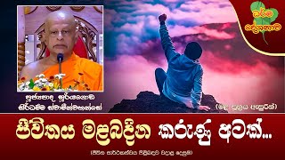 Ven Suriyagoda Siridhamma Thero | 2025-01-19 | 12:30 PM (ජීවිතය මළබදින කරුණු අටක්...)