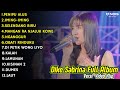 DIKE SABRINA PENIPU ALUS || DIKE SABRINA FULL ALBUM TERBARU 2024 || DANGDUT KOPLO FULL ALBUM 2024