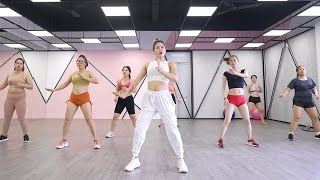 Arms + Legs + Belly + Hips | 14 DAY CHALLENGE | Zumba Class