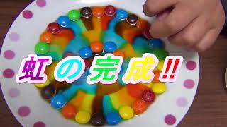 【うさきっず　実験　 自由研究】マーブルチョコで虹？★Ｍ＆Ｍ　rainbow art【うさちゃんねる　あそび】