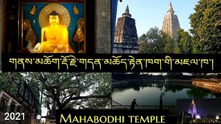 གནས་མཆོག་རྡོ་རྗེ་གདན་གྱི་མཆོད་རྟེན་|| Welcome to Mahabodhi Temple|| 2021||Bodh gaya||tibetan vlogger