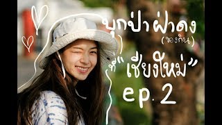 VLOG บุกป่าฝ่าดง(ของกิน)ที่เชียงใหม่ ep2 | ZuvapitSnap