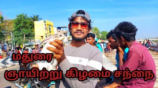 மதுரை  ஞாயிற்று கிழமை பறவை 🐦 🐦‍⬛ 🦜 விலங்கு 🐶🐕🐇 சந்தை | Madurai Sunday pet market‼️-|SafiQ's Thought