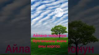 Айлана-чойронун булганышы жана аны коргоо