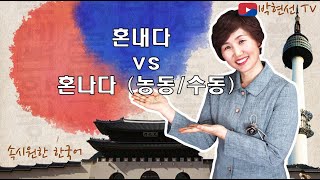 속시원한 한국어, 혼내다 vs 혼나다 (능동,수동)