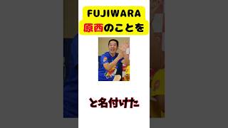 センス抜群！有吉がつけたあだ名！#有吉 #有吉 #有吉弘行 #サンドリ #睡眠用bgm #作業用bgm #雑学#shorts