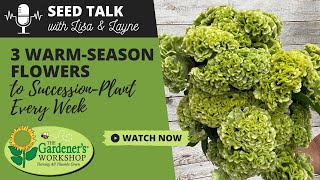 Seed Talk #89 - 3 Warm-Season Flowers to Succession-Plant Every Week