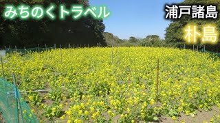 みちのくトラベル 浦戸諸島 朴島