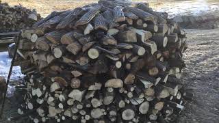 Holz Hausen firewood stack