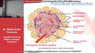 ENDOCRINOLOGIA FASE 1 PARTE 1