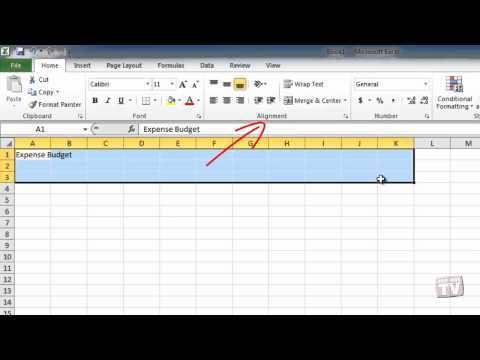 Aligning and Formatting Text in Excel 2010