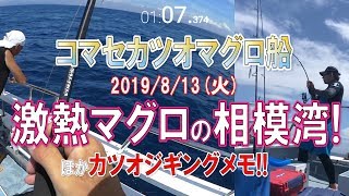 相模湾マグロ激熱モード!! エビングほかカツオジギングメモ (2019/08/13)五エム丸