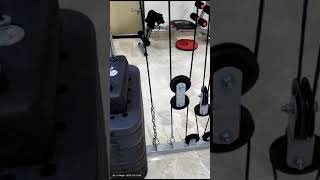 Lifeline HG 009 HOME GYM
