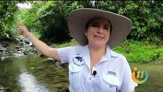 Los jacuzzis naturales de Turrialba