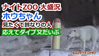 ナイトZOO大盛況💗ホウちゃん見たくて鈴なりの人、応えてダイブ又だいぶ【天王寺動物園】