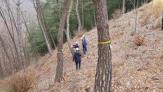 산림기술사.나무의사/산림보호학/소나무재선충병 예방나무주사(약제주사 검사)