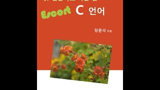 IT 전문가로 가는 길 Escort C 언어 3장 변수 개요