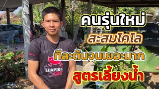 สูตรเลี้ยงน้ำไหลเยอะมาเร็วมาก| Colocasia